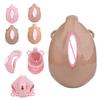 FAAK Pussy-Shaped Male Chastity Cage with Lock Penis Harness Cock Cage & Metal Anal Plug for BDSM Play