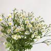 Artificial Daisy Flowers Silk Fake Chamomile Flowers Stamen Small Daisy for Wedding Home Table Decor