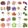 50 Sheets Fresh Plant Specimen Stickers: Art Style Cartoon Leaves, Waterproof & Decorative.