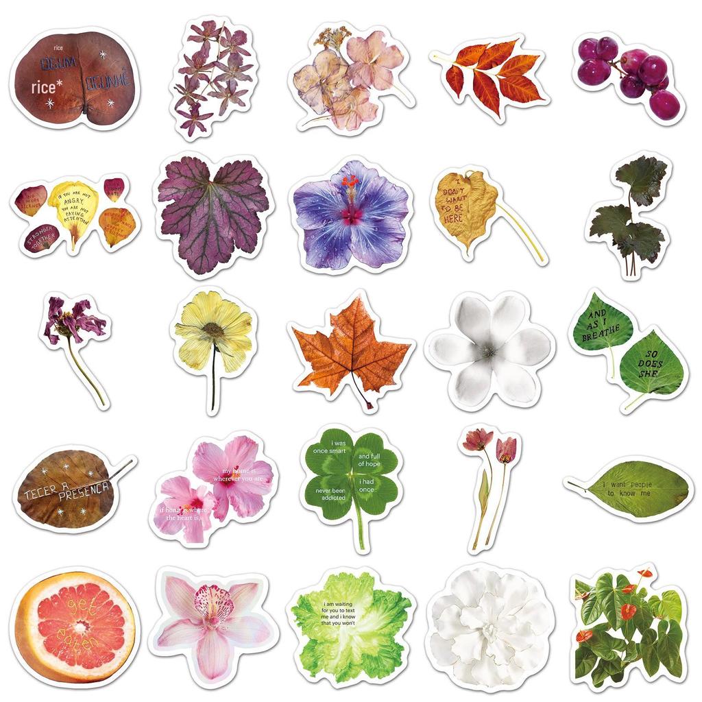 50 Sheets Fresh Plant Specimen Stickers: Art Style Cartoon Leaves, Waterproof & Decorative.