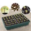 4pcs 12 Holes Plant Starter Trays Mini Propagator Greenhouse Grow Kit for Plants Propagation