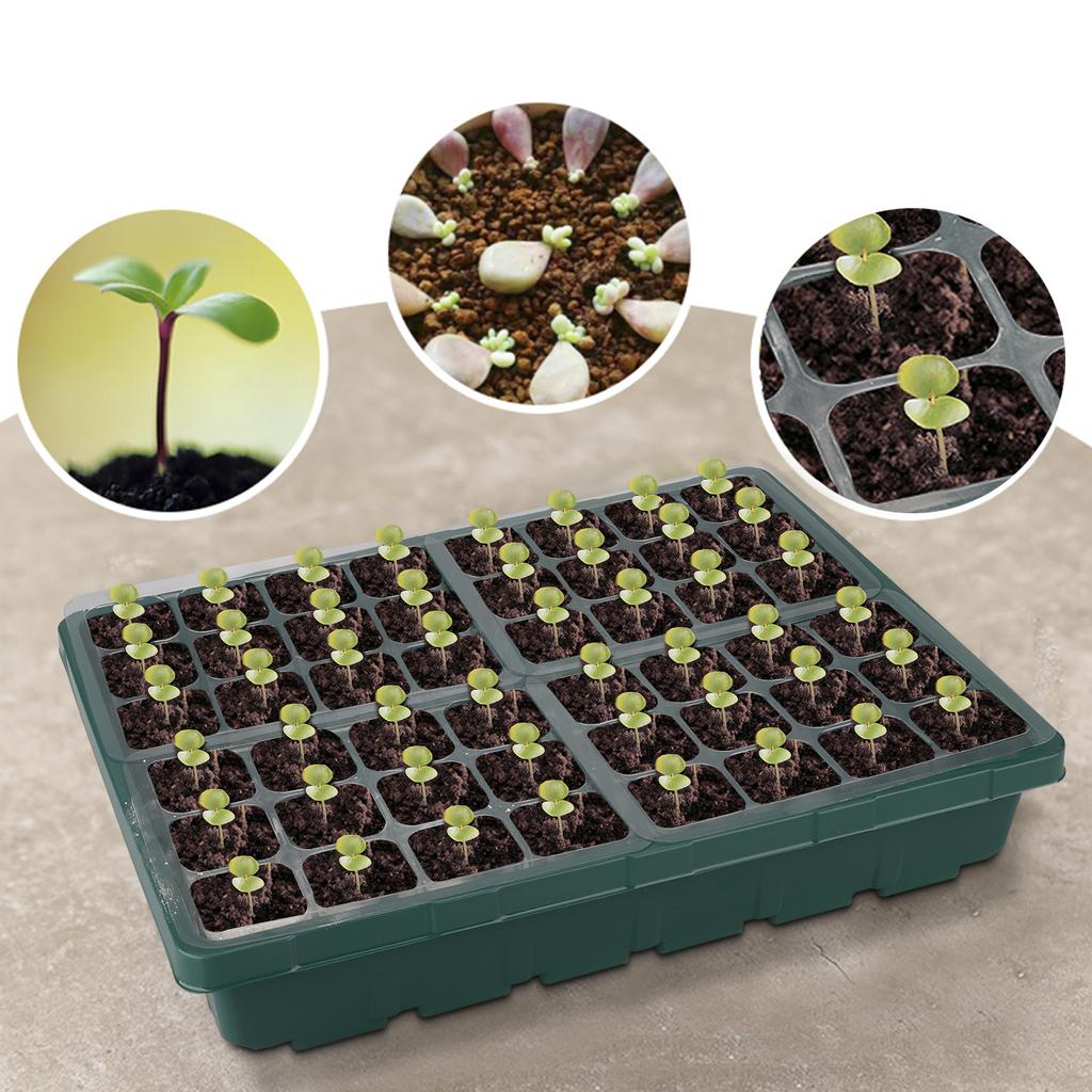 4pcs 12 Holes Plant Starter Trays Mini Propagator Greenhouse Grow Kit for Plants Propagation