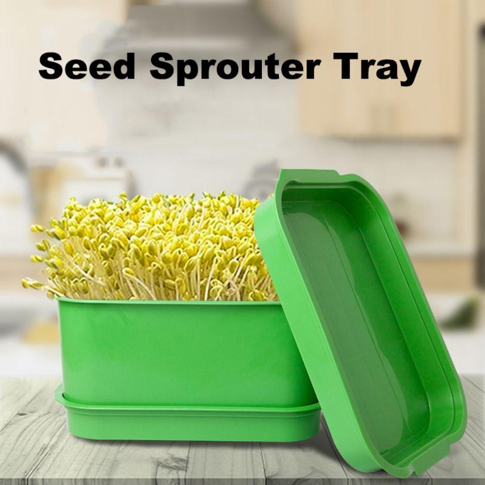 Green Sprout Dish Growing Pot Plastic Beans Seeding Pot New Plants Germination Tray