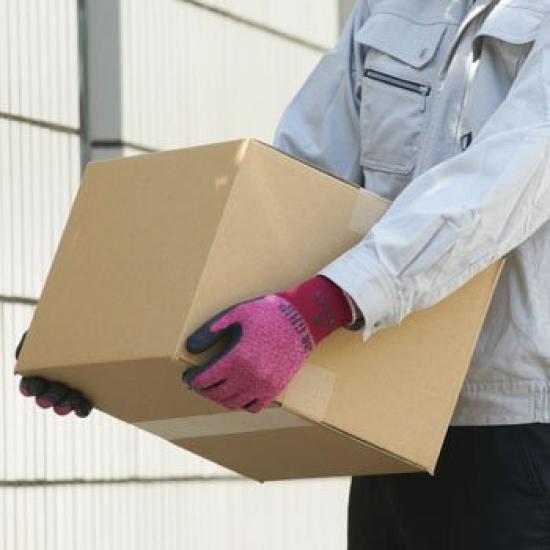 SHOWA Leichte Grip 341 Handschuhe von No. (10 einstellen) (S, Rot)