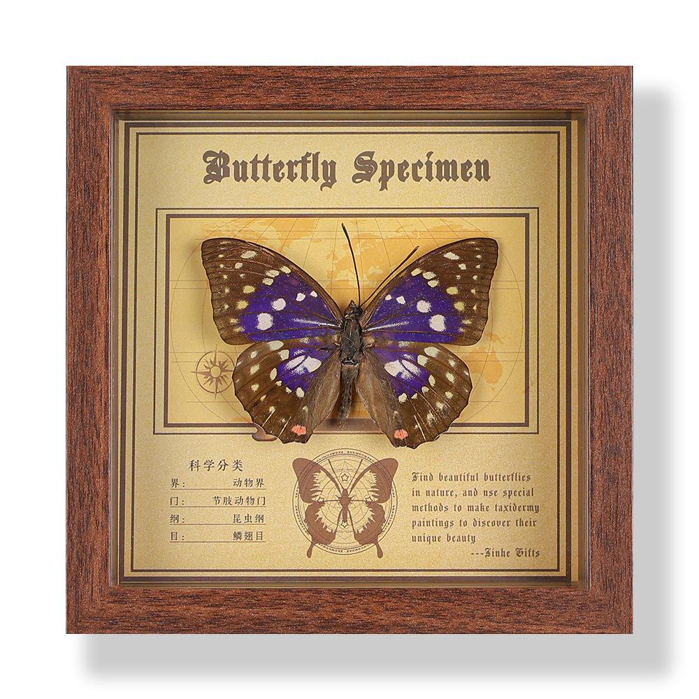 Real butterfly specimen photo frame, decorative painting, 3D ornament, handmade DIY, birthday gift, insect specimen