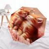 Kittens, Love Theme 8 Bone Hand Automatic Folding Umbrella, Compact and Portable Design, A Perfect Gift for Birthday, Christmas or Business