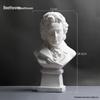 David Head Bust: Plaster Sculpture for Art Students & Teaching Aids