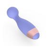 Portable Rechargeable Vibrator Set: Mini AV Vibrator & Teasing Egg for Women