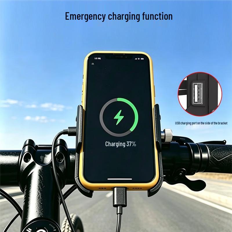 Lishi Electric Bike and Motorcycle Phone Mount