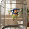 Windproof Parrot Cloak Cozy Bird Flight Cap Cute Bird Role Play Clothes  Cosplay