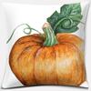 Pumpkin Halloween Thanksgiving Printing Series Pattern Pillowcase Square Pillowcase Home Office Decoration Pillowcase