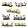 Simulation Poultry Model Realistic Chick Duck Goose Figurine Miniature Farm Animal Educational Toy Home Office Decoration Ornament