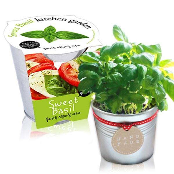 

Оловянный кухонный садовый набор Segyeong Farm Sweet Basil, корейские игрушки