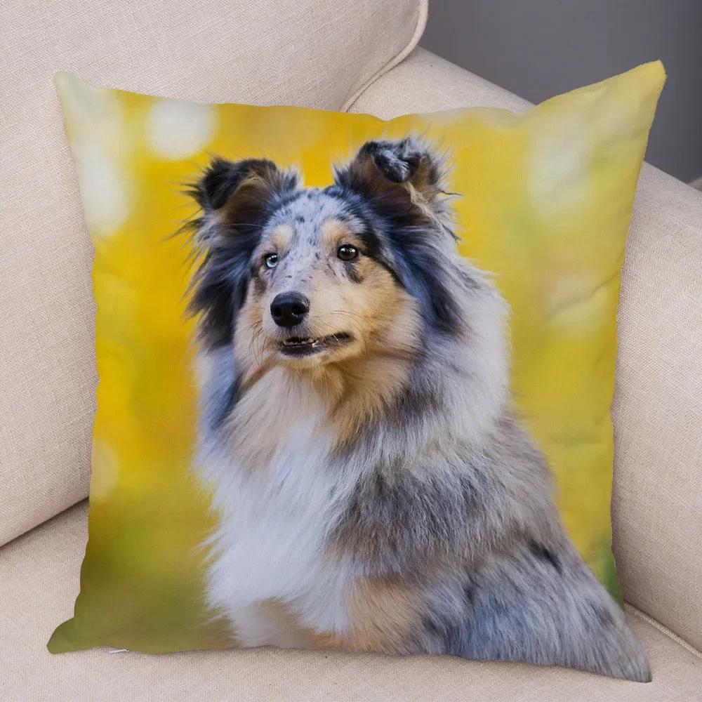 Cute Pet Animal  Cushion Cover Scotland Border Collie Pillowcase for Sofa Car Decor Dog Printed Soft Plush Pillow Case