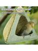 Parrot Dumpling Birdhouse Tiger Peony All Season Nest Hanging Aquascape Birdhouse Summer Sleeping Hiding House