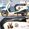 3d Dog Car Sticker Auto Window Bumper Cover Scratches Waterproof Decals Motorcycle Fairing Decoration Animal Car Accessoriesl