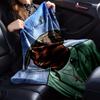 1pc 2PacHip Hop Blanket Soft Lightweight All Season Multi Purpose Throw for Sofa, Bed, Office & Picnics, French Style with Iconic Album Art & Quotes