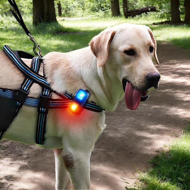 

Warning Safety LED Light Safety Work Outdoor Clip Light Waterproof Bright Lamp For Cycling Mountaineering Traveling Fishing france