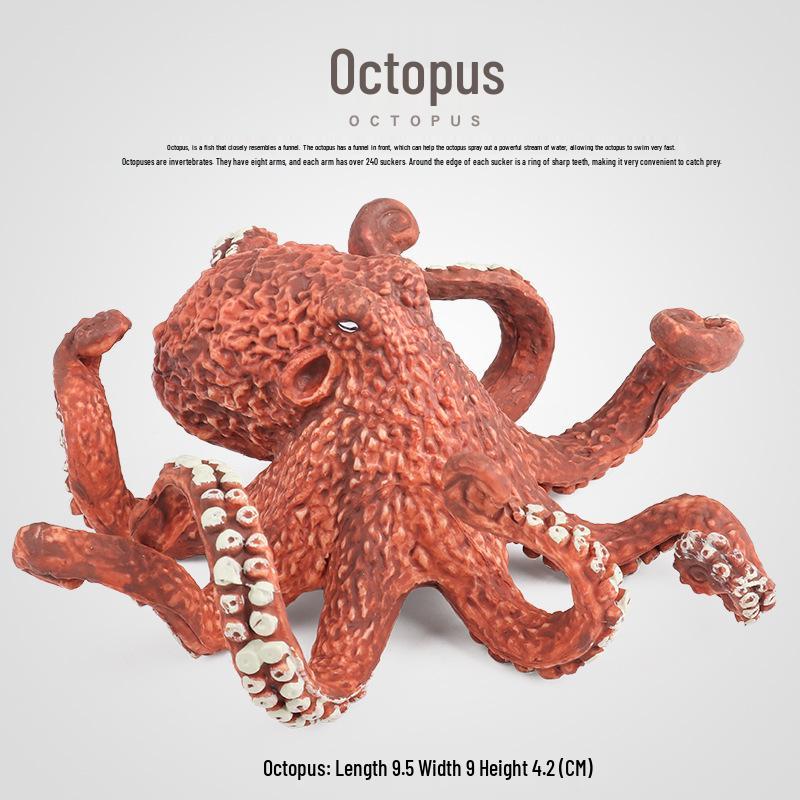 Marine Animal Model: Octopus & Squid Educational Toy for Kids
