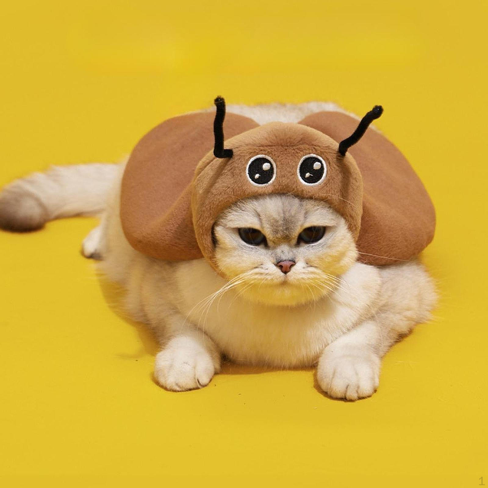 

Костюм собаки, регулируемый милый модный декоративный костюм для косплея, плащ, накидка, одежда для вечеринки