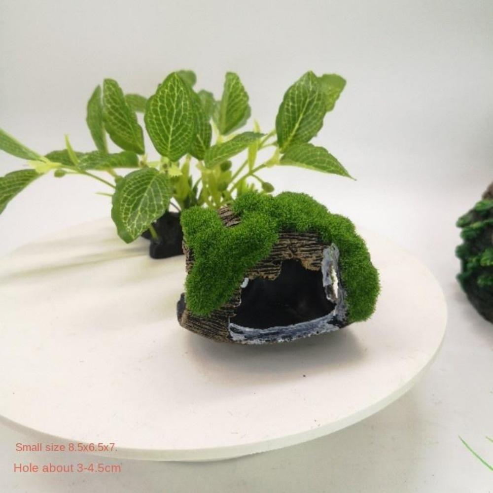 

Смола Затонула деревина Мох Аквариум Ландшафтне оформлення Орнаменти Флоковані евакуаційні отвори Симуляція Сухе дерево Алмазне дерево