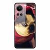 Tempered Glass Case For Oppo Reno10 Pro Cover Reno 10 5G Fashion Hard Back Cover for Oppo Reno 10 Pro 5G Reno105G Case Lion Capa