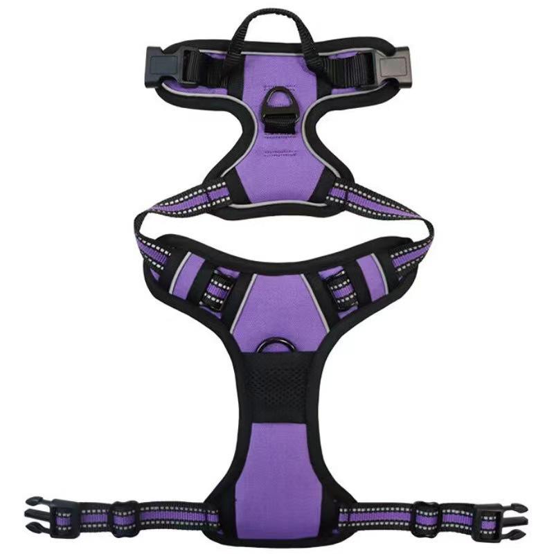 Reflective Nylon Dog Harness and Leash for Large Breeds