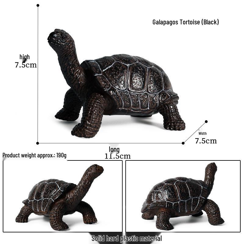 Children's Cognitive Marine Animal Models: Sea Turtle and Tortoise Toys