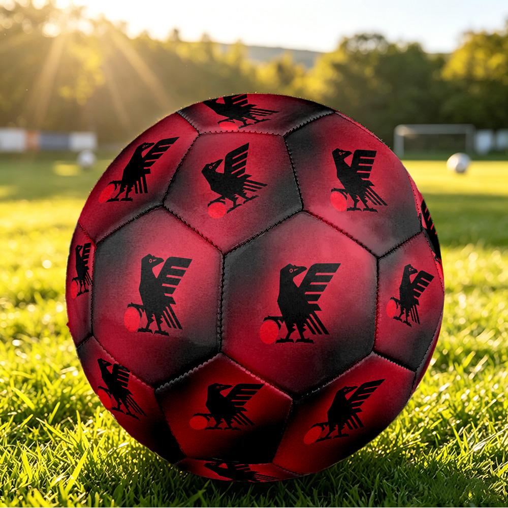 Japan Football Printed Size 5 Soccer Ball Wear Resistant Standard Adult Training Football Fan Gift for Indoor Outdoor Match Sports