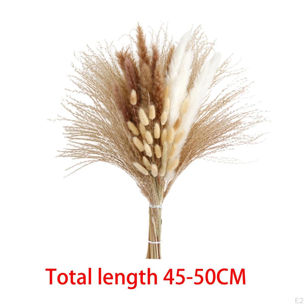 Floral Bouquet Reed Vase Dried Flower Photography Living Room Arrangement
