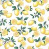 STYLE Decor Mesh Flat Pouch Citrus Stylish and Cute Set for Pocket Tissue Pouch Original Mask Set, Lemon, Women, W1900700-NVL2606-02 Includes +