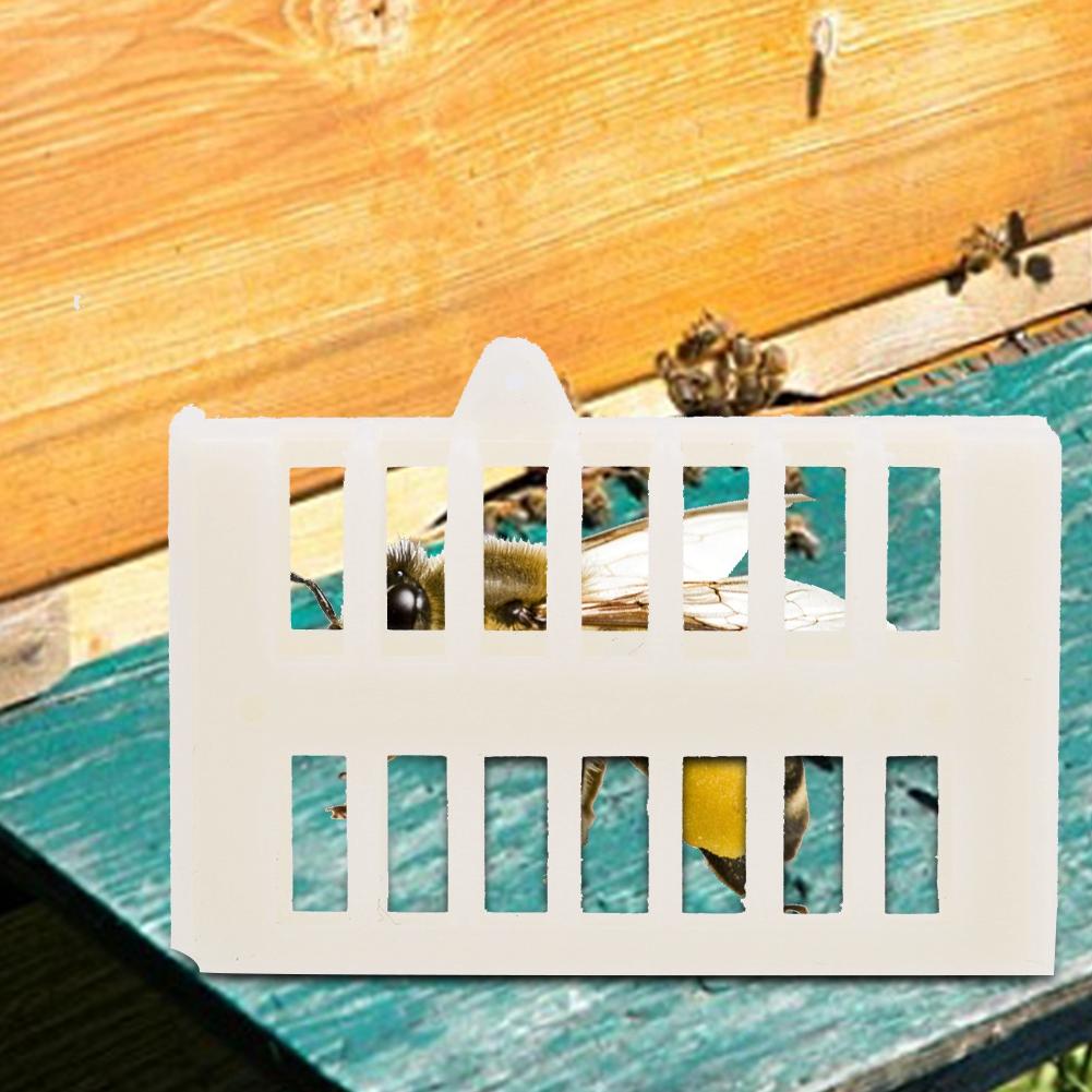 100pcs Beekeeping Tool Plastic Bee Cage Foster Cups Prison King Bee House