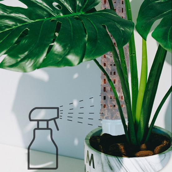 Confezione Da 6 Pali Di Supporto Per Piante In Muschio Di Sfagno Da 60 Cm, Adatti Per Piante Da Casa, Monstera Deliciosa, Da Giardino E Rampicanti. | Leroy Merlin - Foto 2