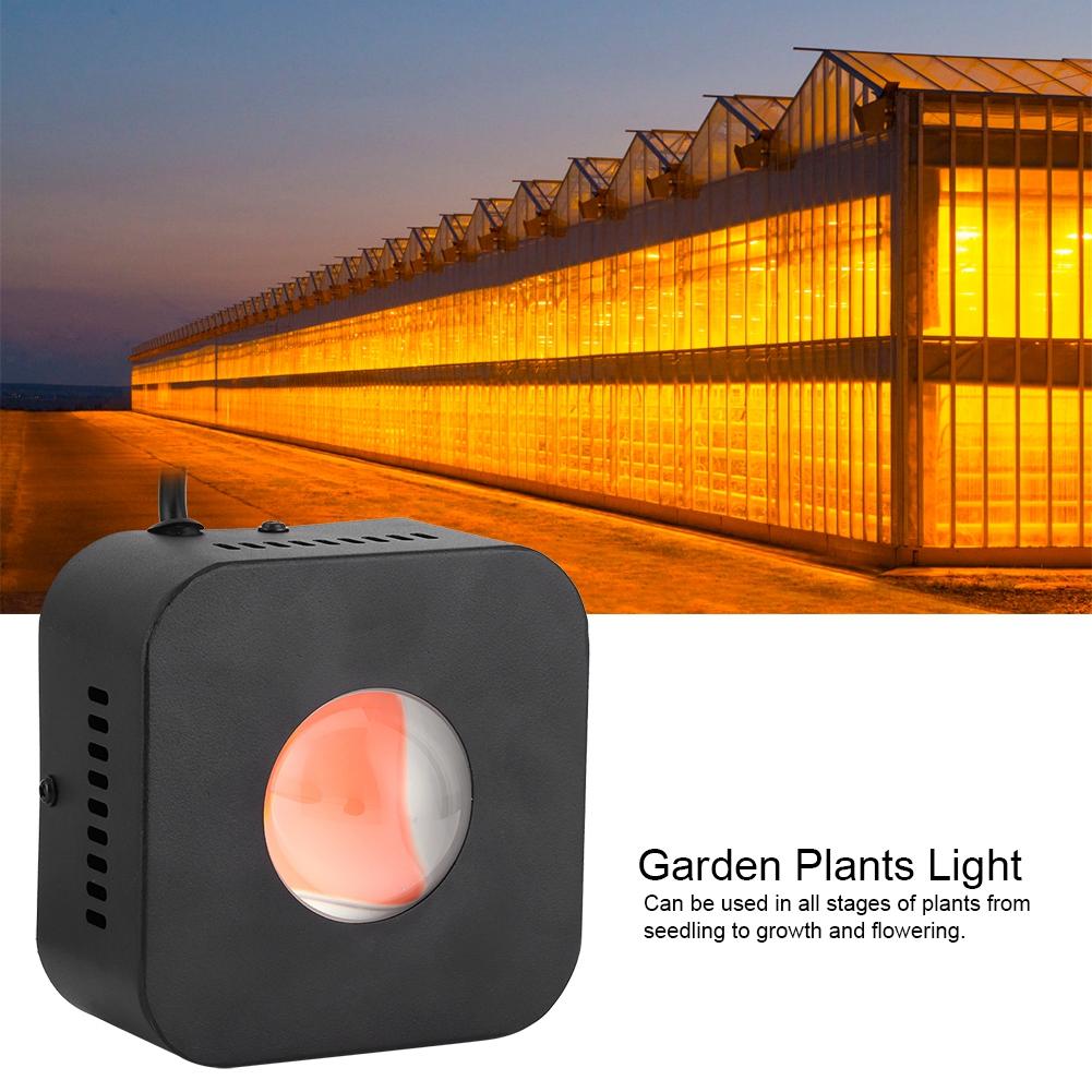 Buy Full Spectrum Indoor Plants Vegetables Bonsai Grow Light for Garden