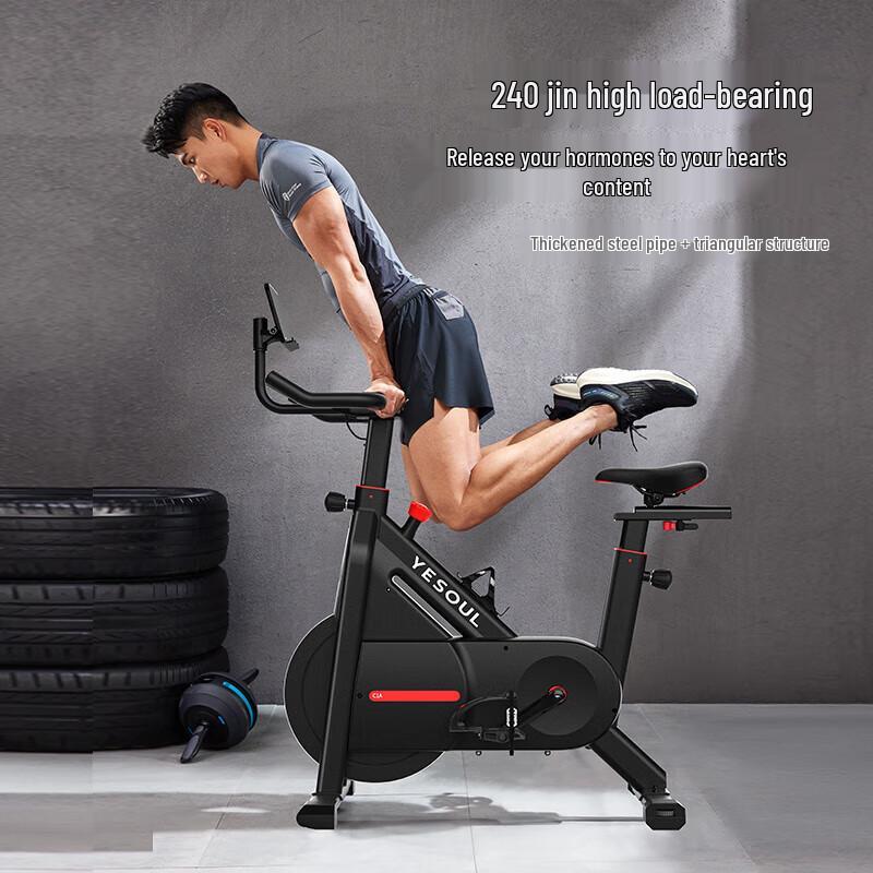 Wild Beast Smart Magnetic Exercise Bike