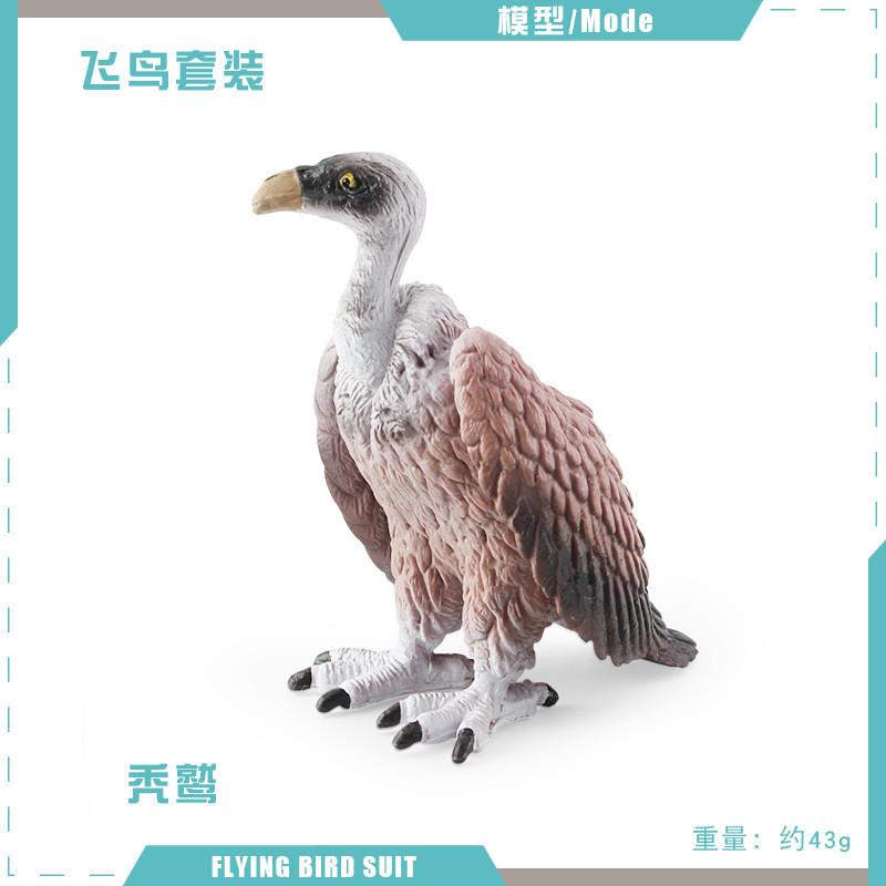 Detailed Static Pvc Bird Models Including Majestic Eagle Unique Vulture And Owl Designs