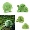 Adorable Ricky Rain Frog Plush Toy Soft Cartoon Frog Doll For Kids 30x25x20cm
