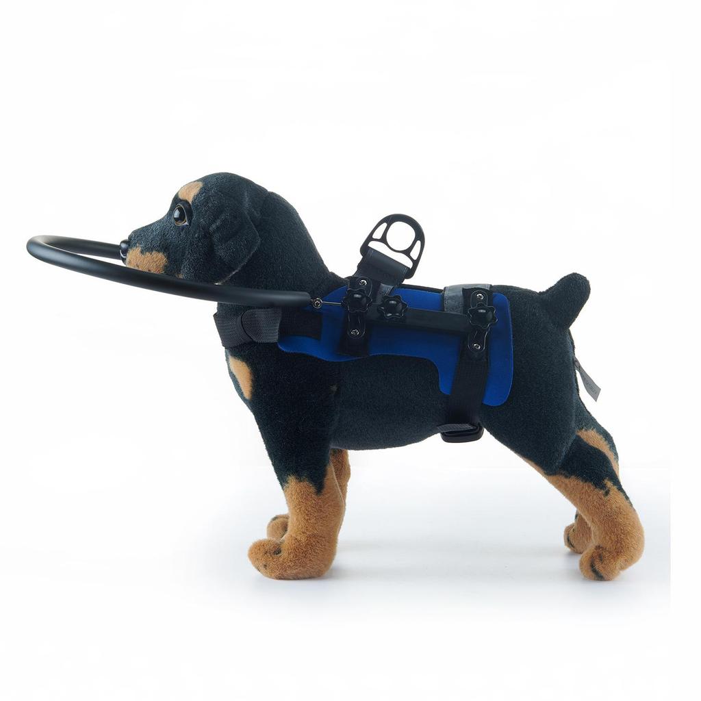 Anillo Anticolisión para Mascotas para Perros Ciegos Pequeños y Medianos - Cubierta Protectora de Círculo Guía