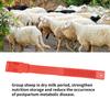 10Pcs Goat Collar Sheep Identification Bands Livestock  ing   Farming Equipment