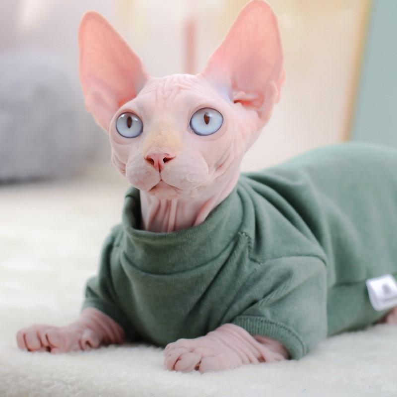 Cat Clothes Winter Warm Cotton Sphynx Cat Hoodies Fleece Sweatshirt Vest For Cats Sphinx Kitten Pajamas Clothes Cat Supplies