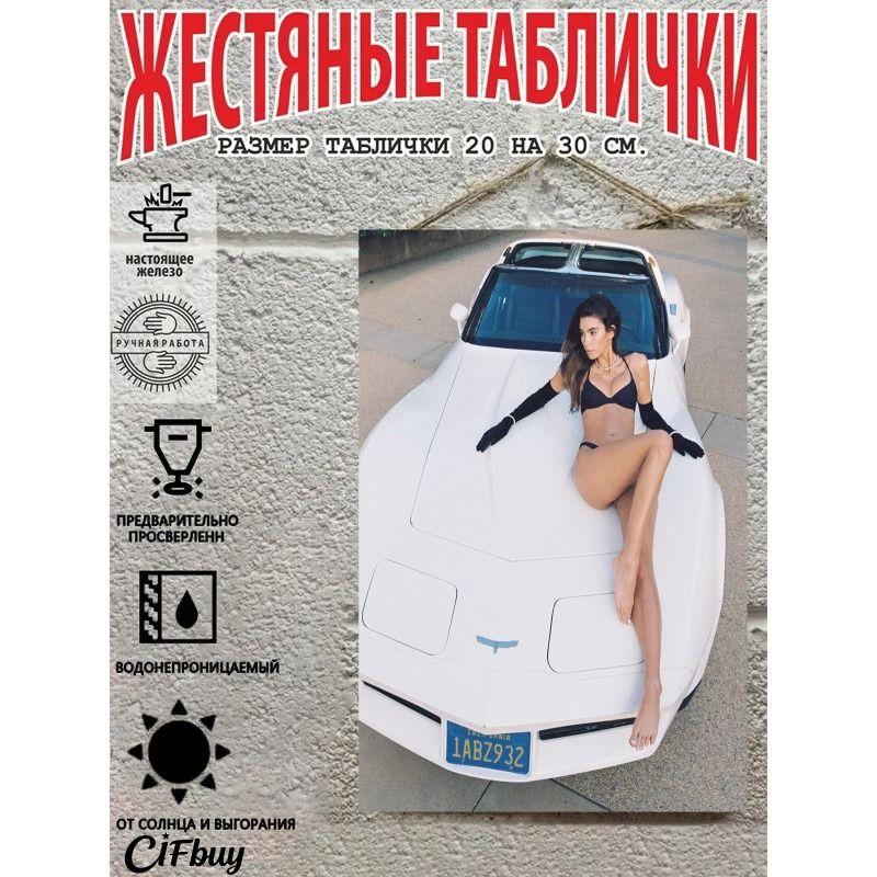 Retro Vintage Metal Sign Pin Up Girl Car Decor Wall Art