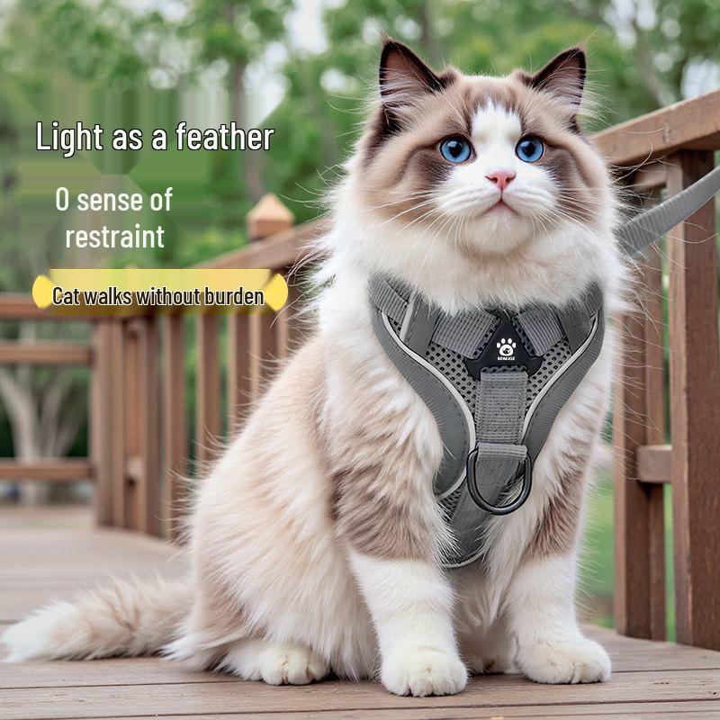 Adjustable Anti-Escape Cat & Small Dog Leash and Harness: Breathable, No-Choke, All-Season Use