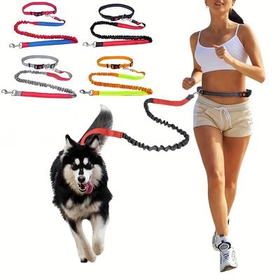 Durable Elastic Nylon Dog Leash for Running and Walking, Hands Free Pet Traction Leash with Comfortable Grip, Ideal for Active Dogs