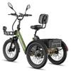 Fafrees F20 Mate Elektrisches Lastenfahrrad 20" Luftreifen 250W Motor Faltbares E-Bike Höchstgeschwindigkeit 25km/h LCD-Display Maximale Zuladung 180Kg