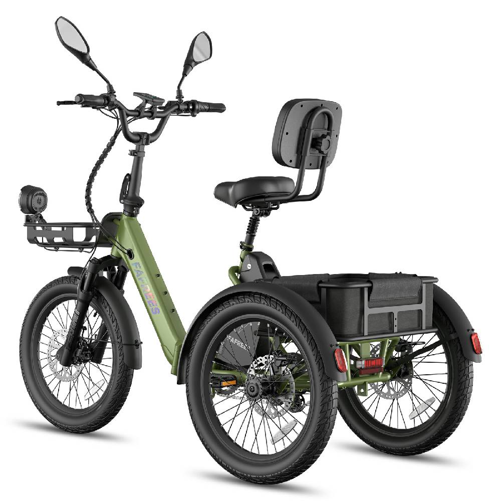 Fafrees F20 Mate Elektrisches Lastenfahrrad 20" Luftreifen 250W Motor Faltbares E-Bike Höchstgeschwindigkeit 25km/h LCD-Display Maximale Zuladung 180Kg