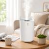 2 Liter Large Capacity Humidifier with Single Nozzle High Mist Output for Home Use Quiet Operation and Easy Maintenance