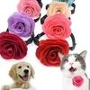 Buckle Pet Dog Doggy Big Flower Cat Collar Cute Adjustable Choker Adorable Tie Rose Dog Collar