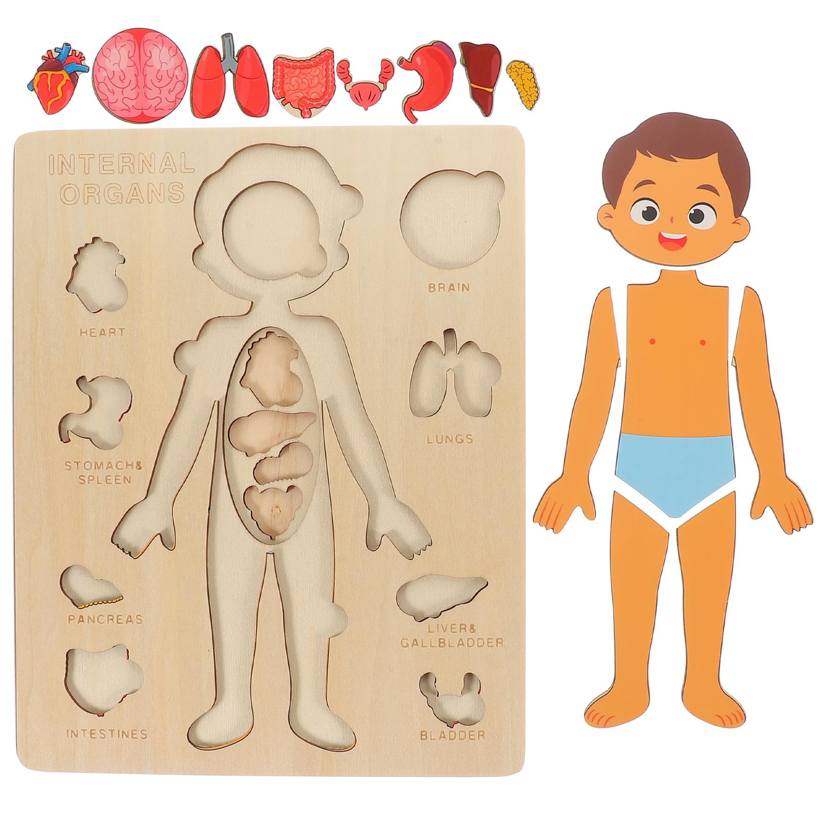 

Montessori Puzzles Busy Board Human Body Teaching Learning Body Parts for Children Early Education Games Toddlers Quiet Books