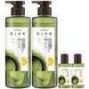 Hair Recipe Shampoo & Hair Care Set