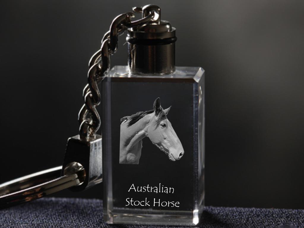 Australian Stock Horse – Crystal pendant with photo of a horse, illuminated pendant | Art-Dog